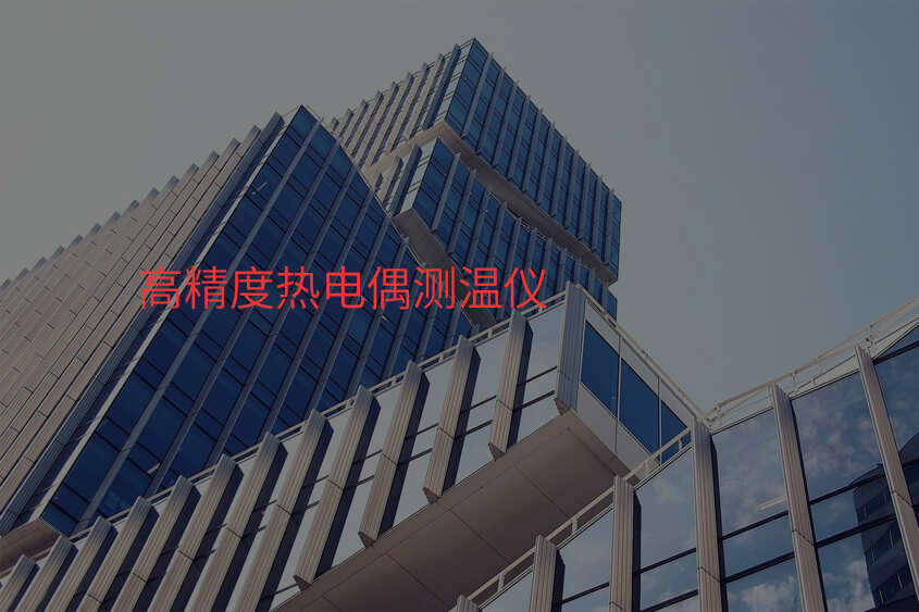 高精度热电偶测温仪