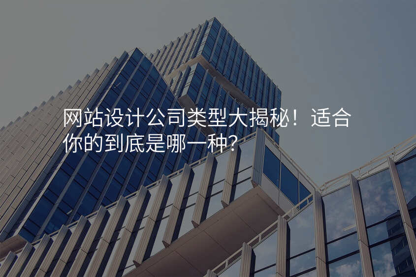 网站设计公司类型大揭秘!适合你的到底是哪一种?