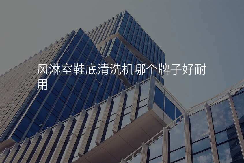 风淋室鞋底清洗机哪个牌子好耐用