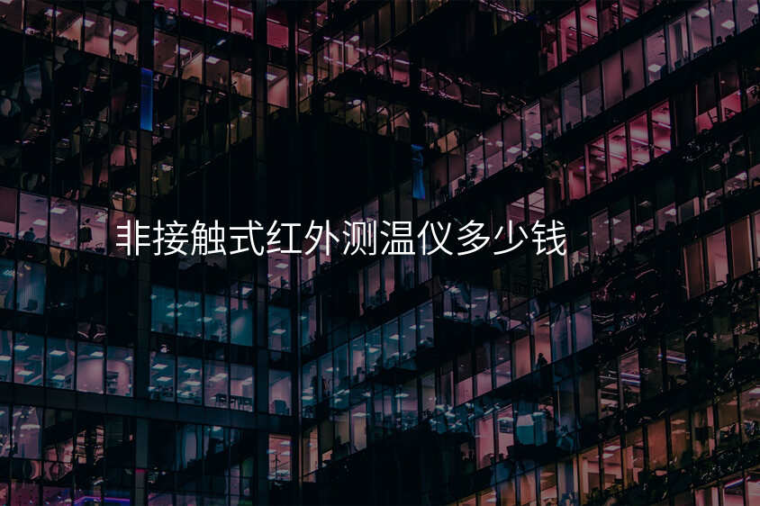 非接触式红外测温仪多少钱