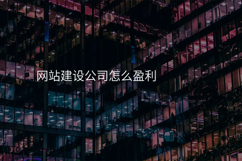 网站建设公司怎么盈利