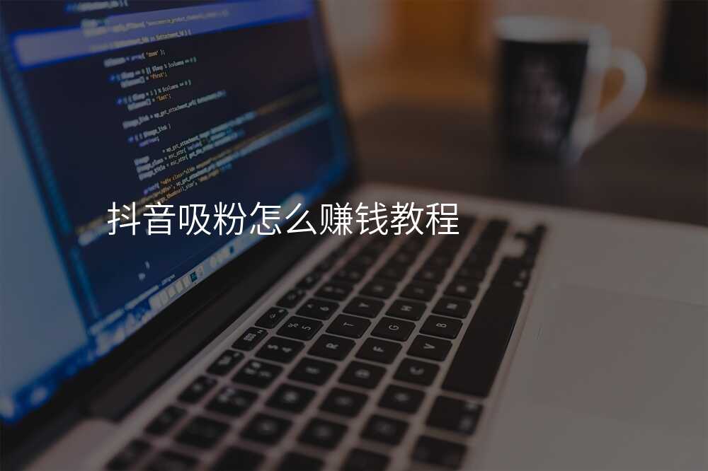 抖音吸粉怎么赚钱教程