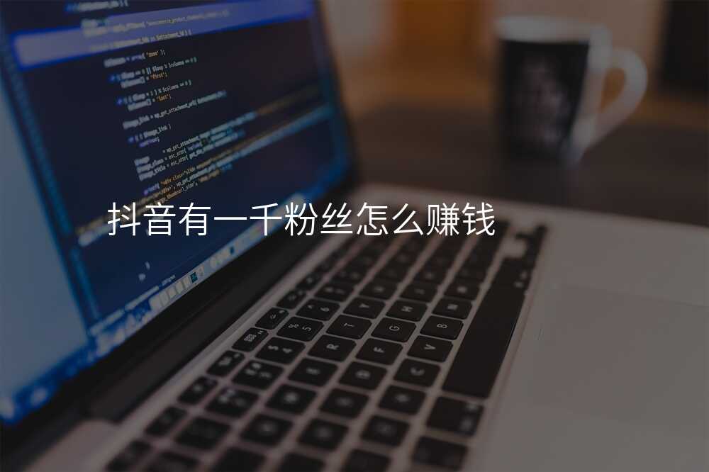 抖音有一千粉丝怎么赚钱