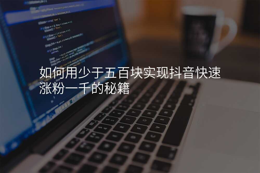 如何用少于五百块实现抖音快速涨粉一千的秘籍