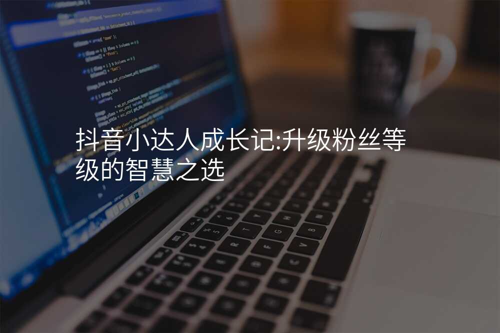 抖音小达人成长记:升级粉丝等级的智慧之选