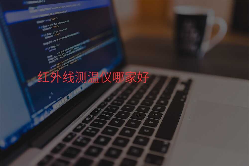 红外线测温仪哪家好