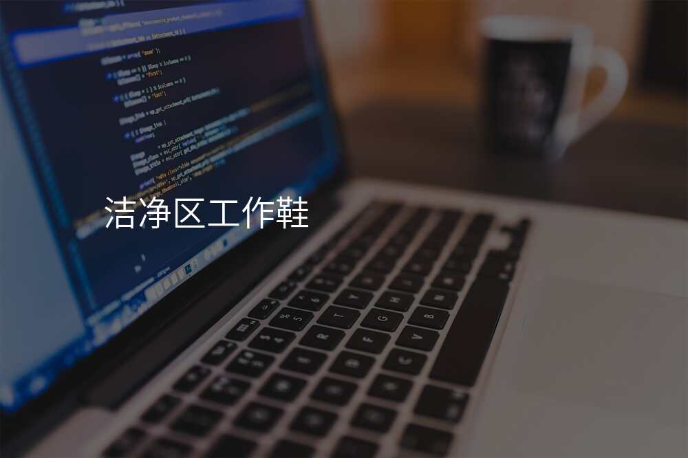 洁净区工作鞋