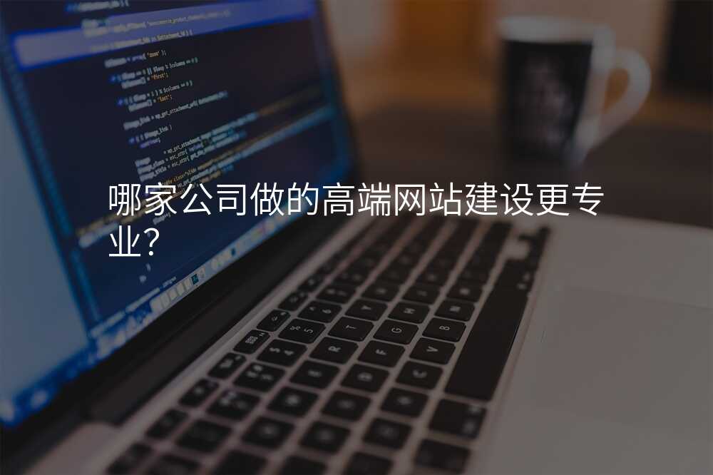 哪家公司做的高端网站建设更专业?