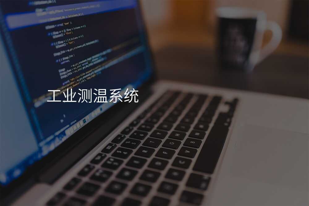 工业测温系统