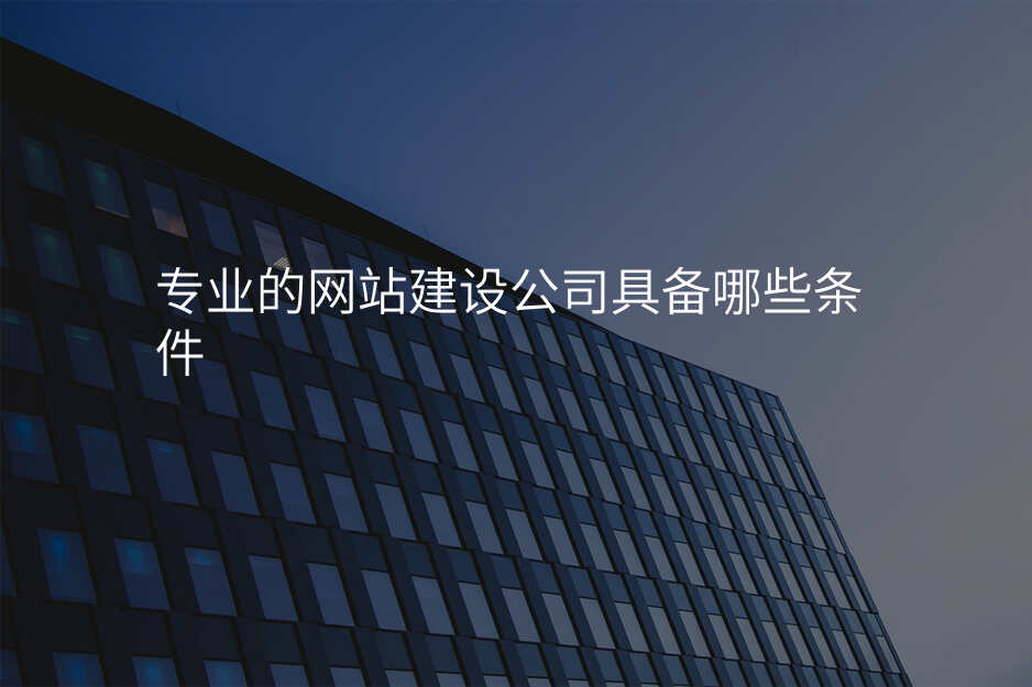 专业的网站建设公司具备哪些条件