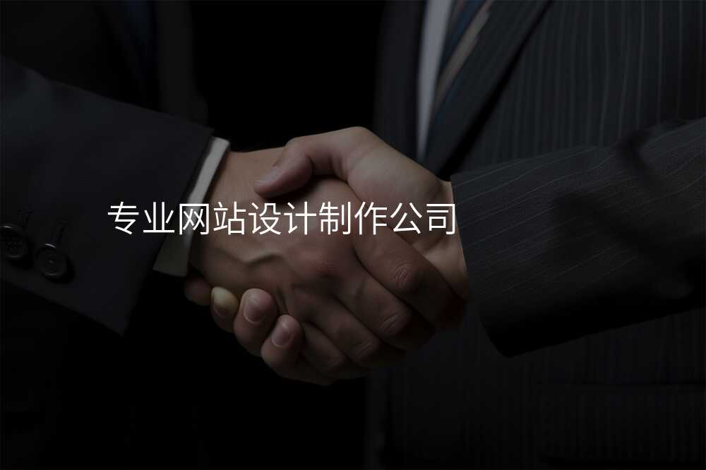 专业网站设计制作公司
