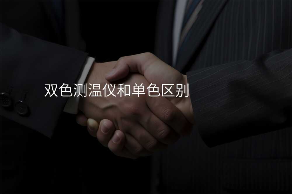 双色测温仪排行榜揭秘,性能哪家强?