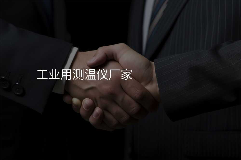工业用测温仪厂家