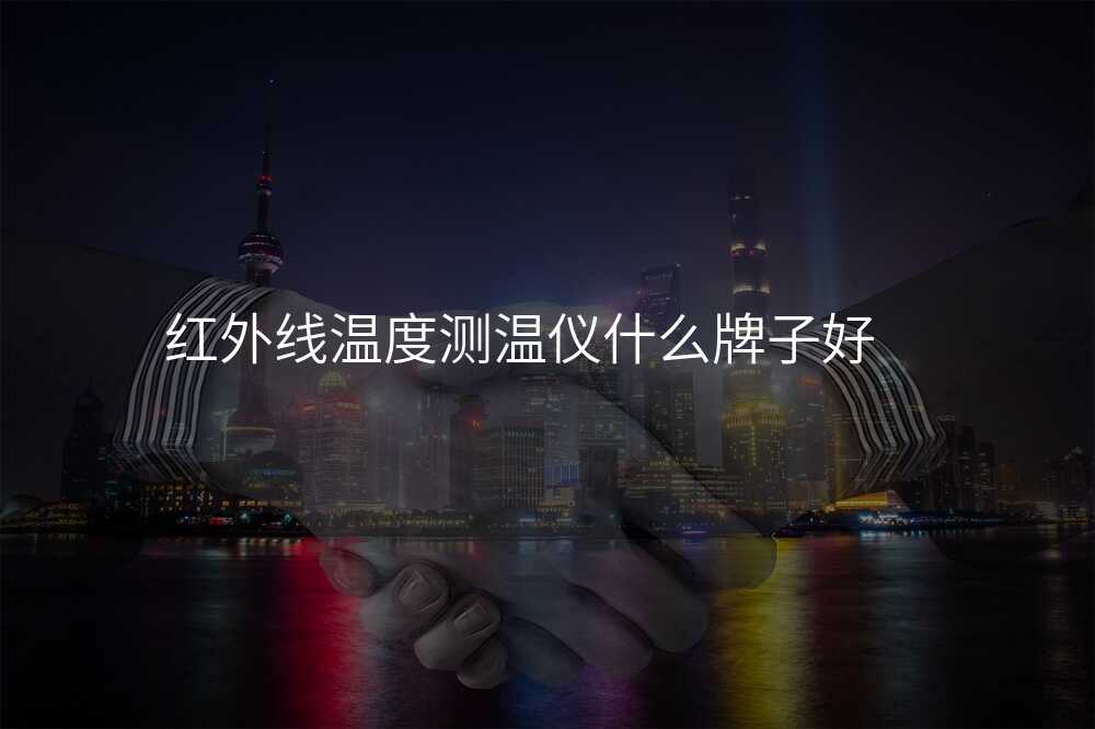 红外线温度测温仪什么牌子好