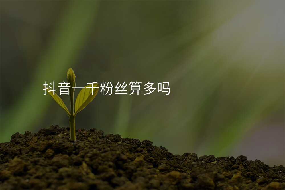 抖音一千粉丝算多吗