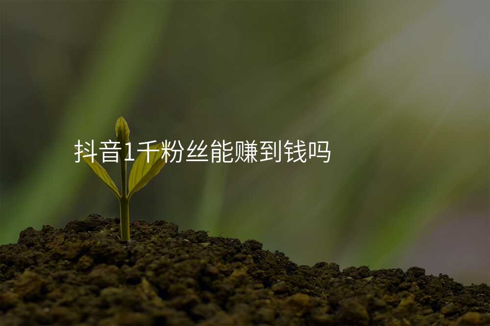 抖音1千粉丝能赚到钱吗