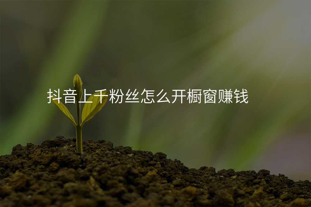 抖音上千粉丝怎么开橱窗赚钱