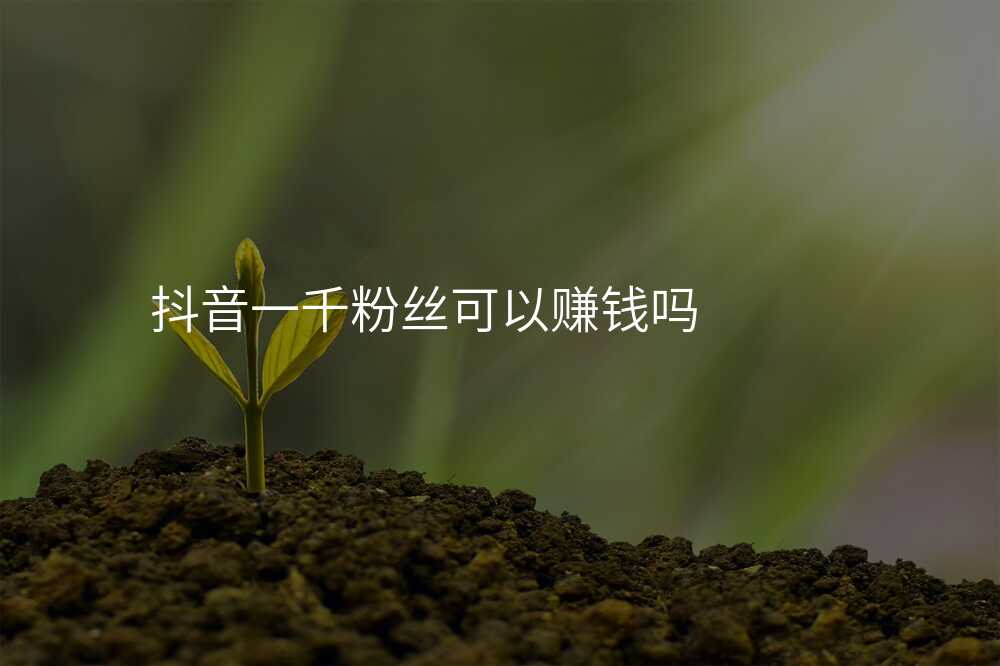抖音一千粉丝可以赚钱吗