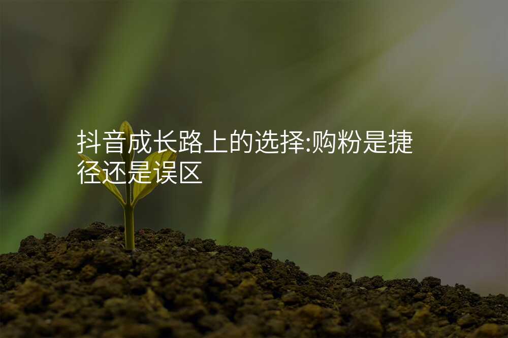 抖音成长路上的选择:购粉是捷径还是误区