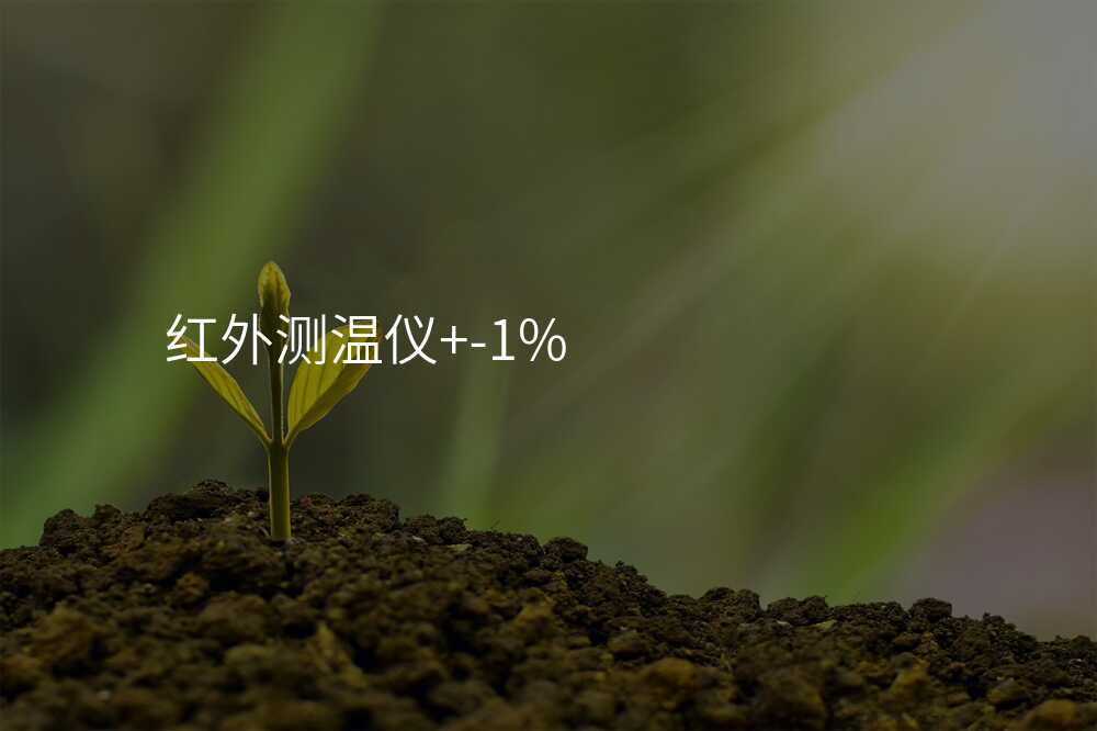红外测温仪+-1%