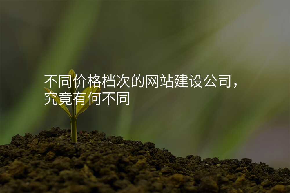不同价格档次的网站建设公司,究竟有何不同