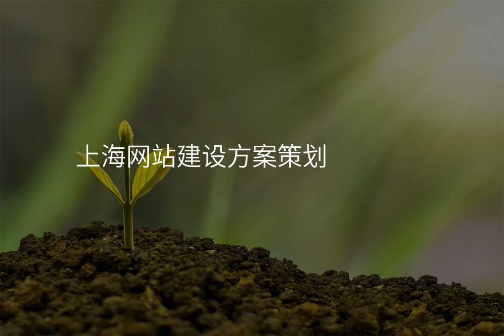 上海网站建设方案策划