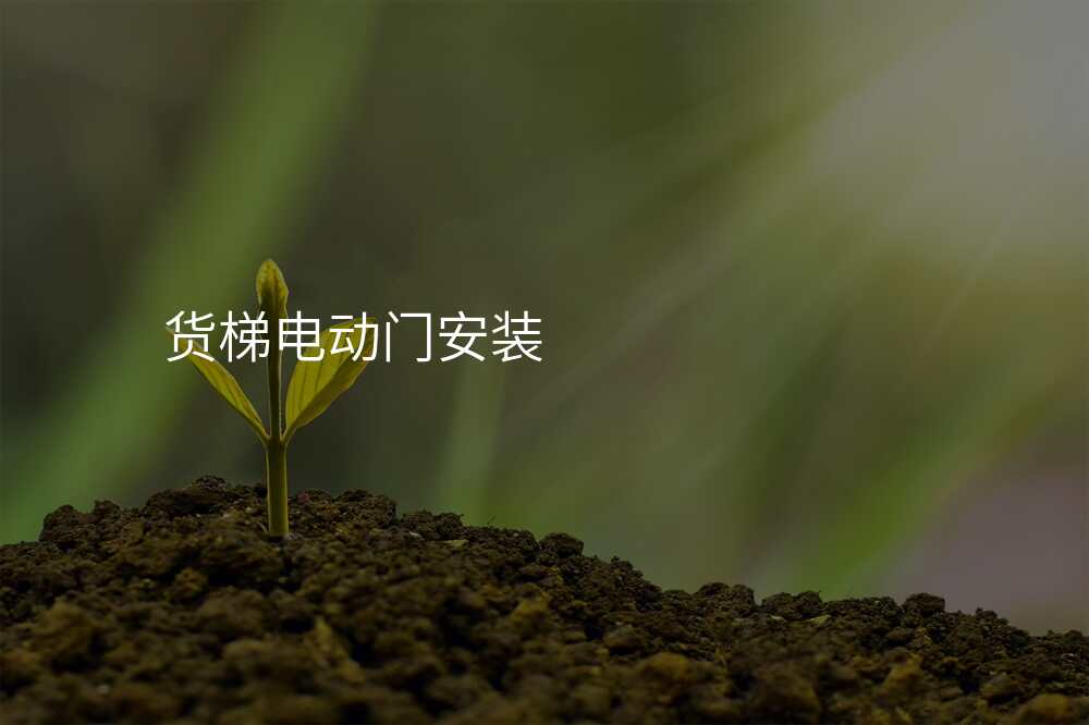 货梯电动门安装