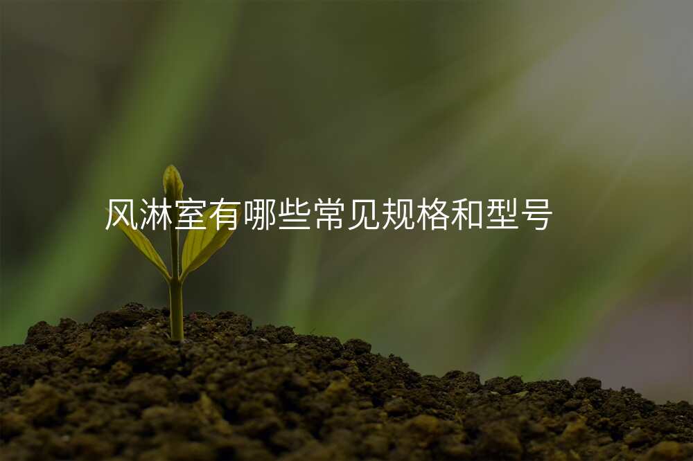风淋室有哪些常见规格和型号