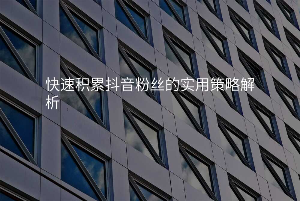 快速积累抖音粉丝的实用策略解析