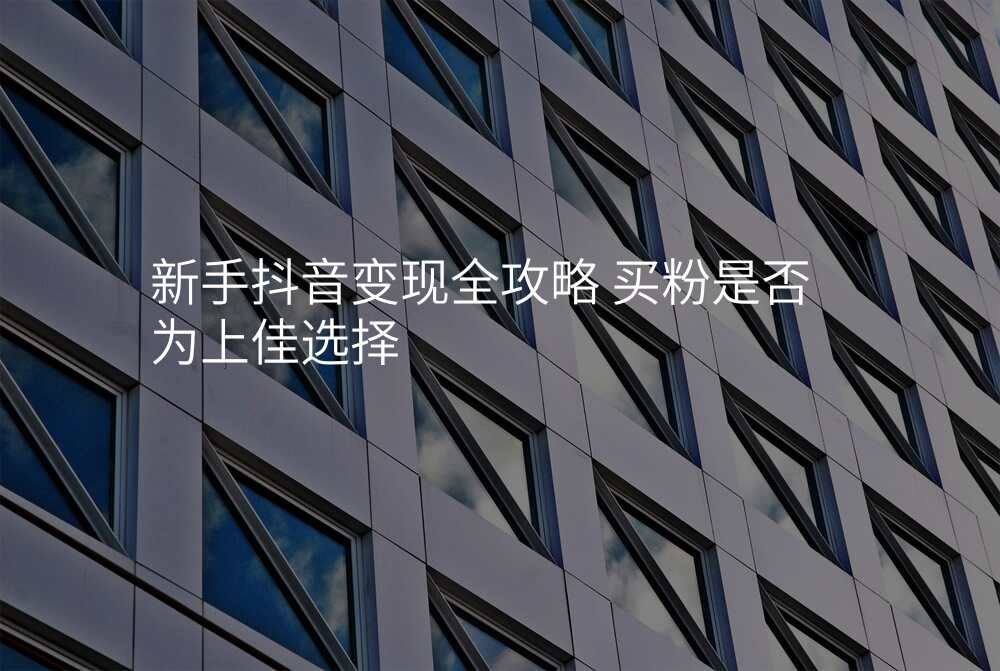 新手抖音变现全攻略 买粉是否为上佳选择