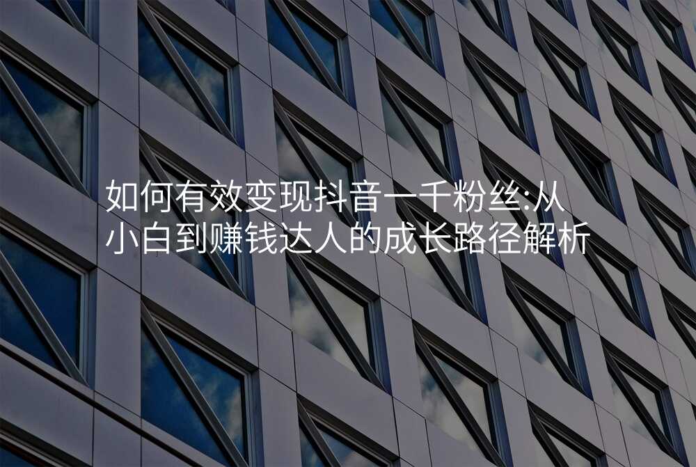 如何有效变现抖音一千粉丝:从小白到赚钱达人的成长路径解析