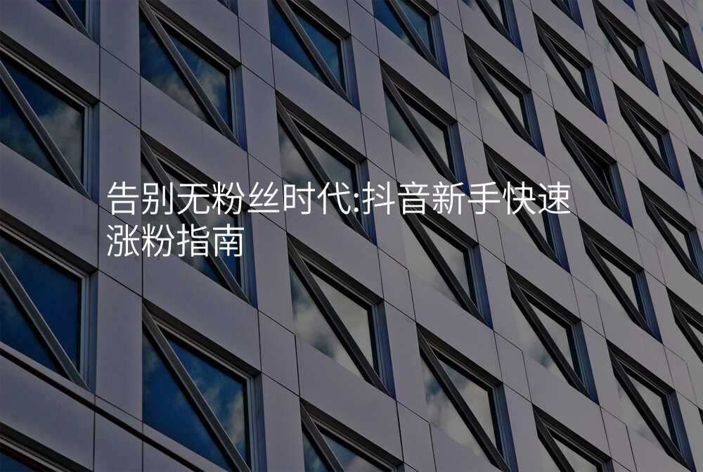 告别无粉丝时代:抖音新手快速涨粉指南
