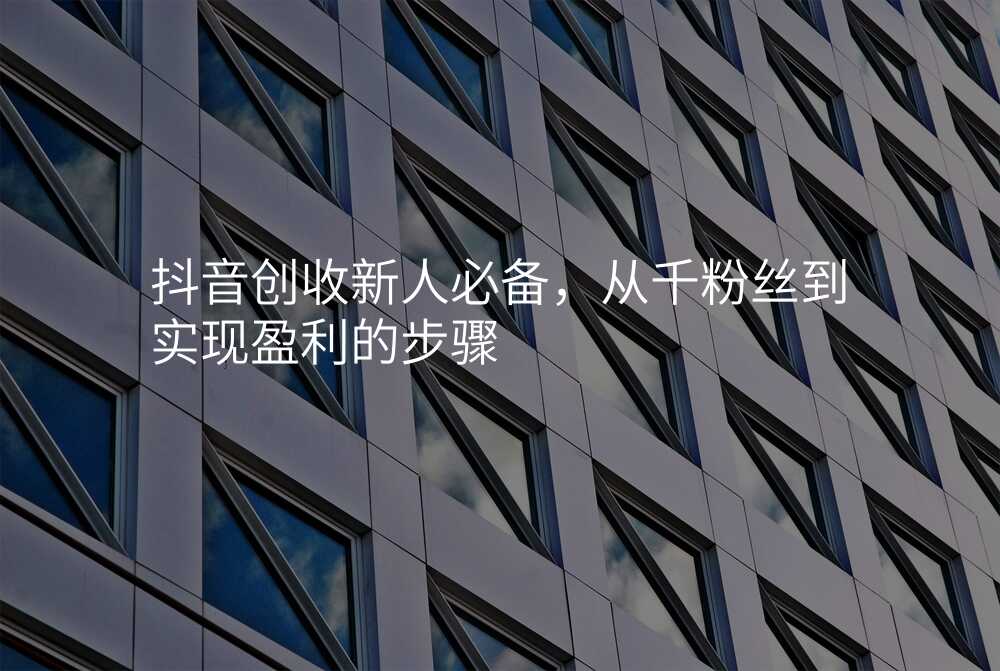 抖音创收新人必备,从千粉丝到实现盈利的步骤