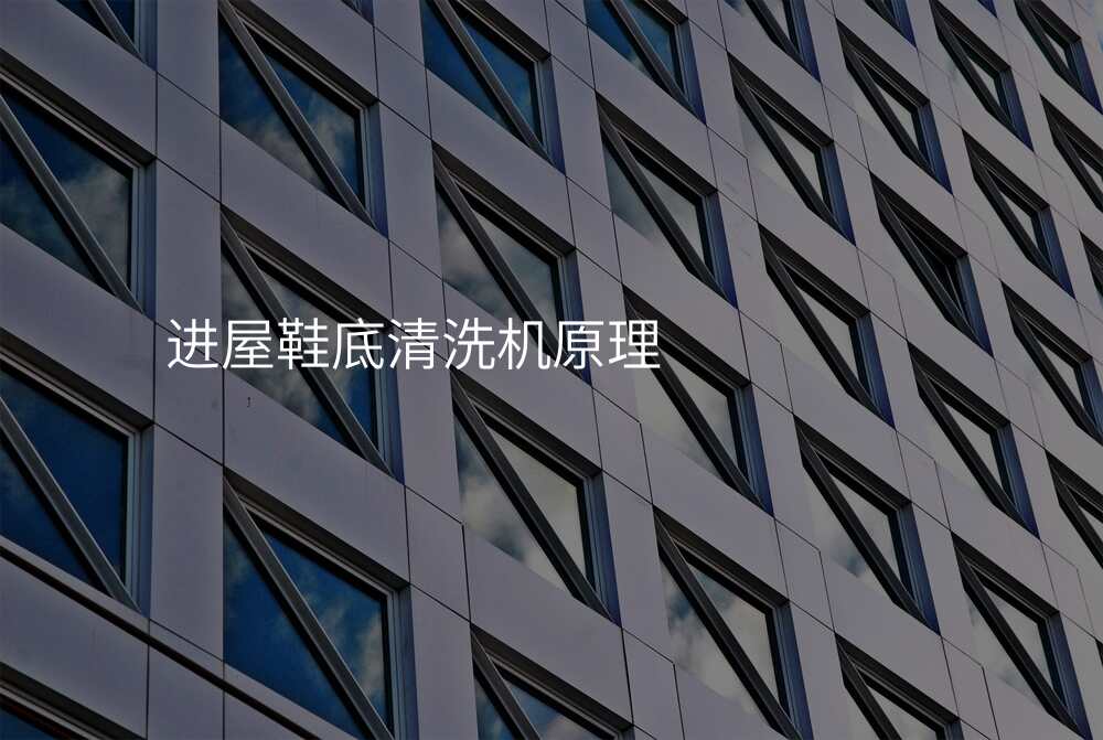 进屋鞋底清洗机原理