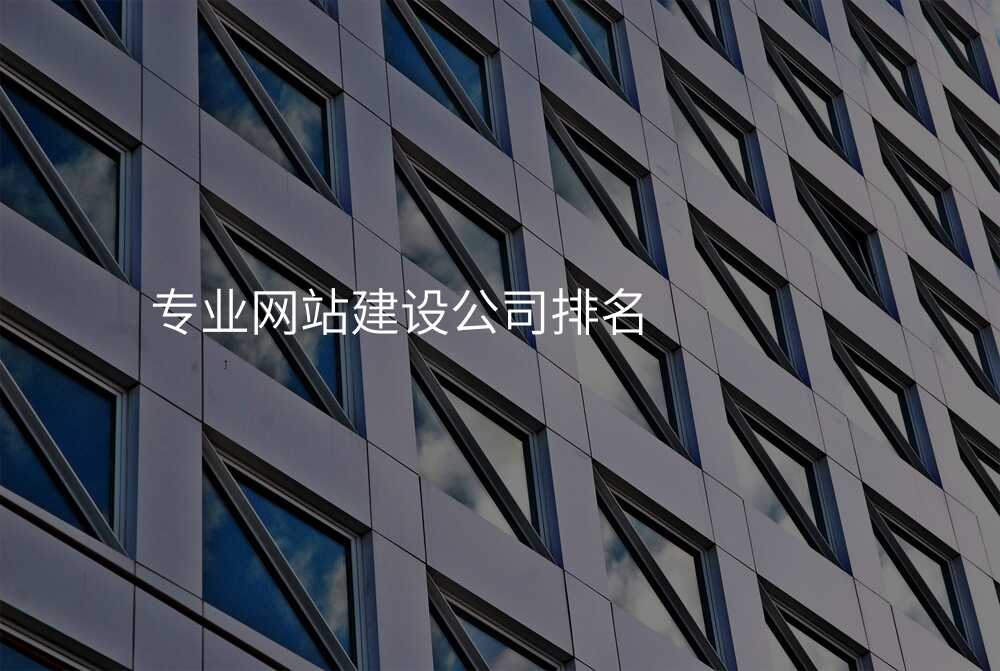 专业网站建设公司排名