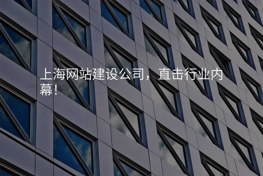上海网站建设公司,直击行业内幕!