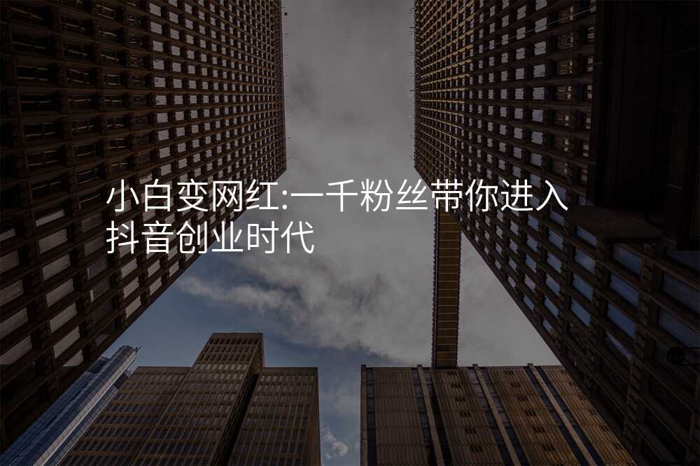 小白变网红:一千粉丝带你进入抖音创业时代