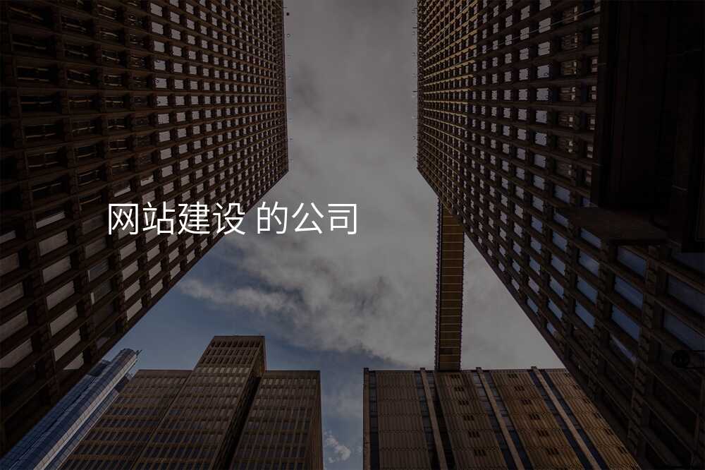 网站建设 的公司