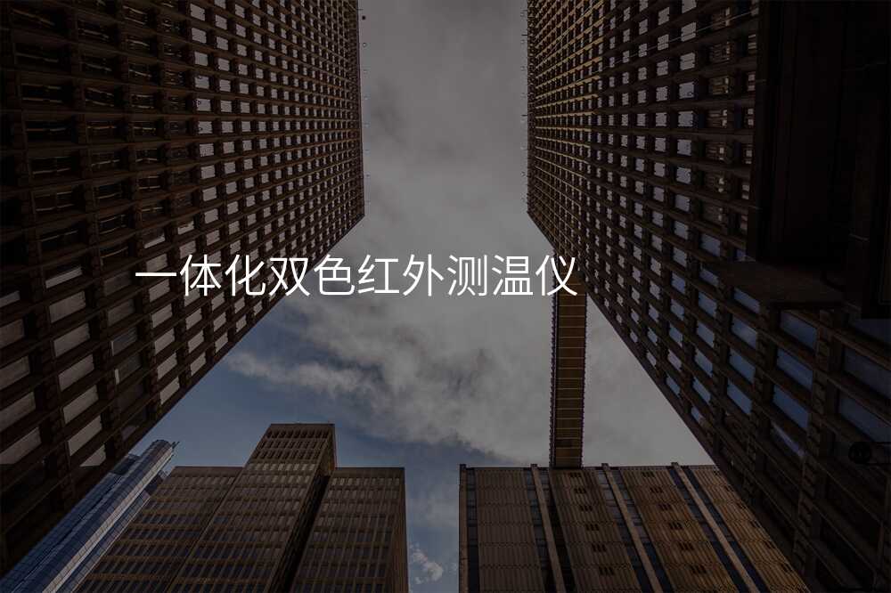 双色测温仪的性价比超出你的想象!