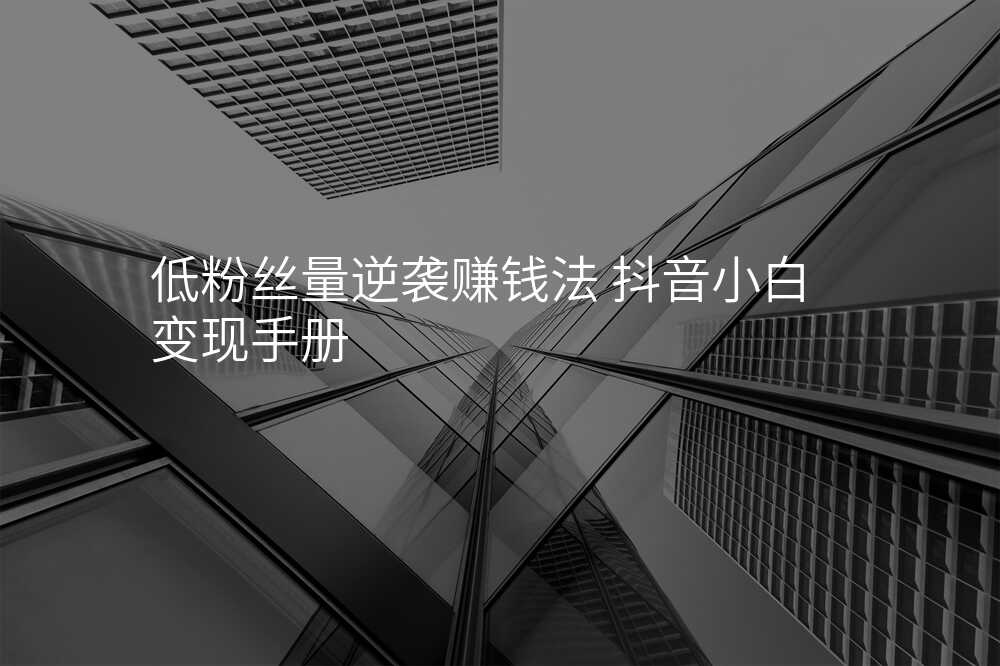 低粉丝量逆袭赚钱法 抖音小白变现手册