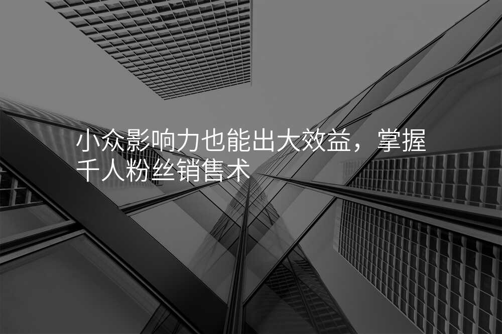小众影响力也能出大效益,掌握千人粉丝销售术