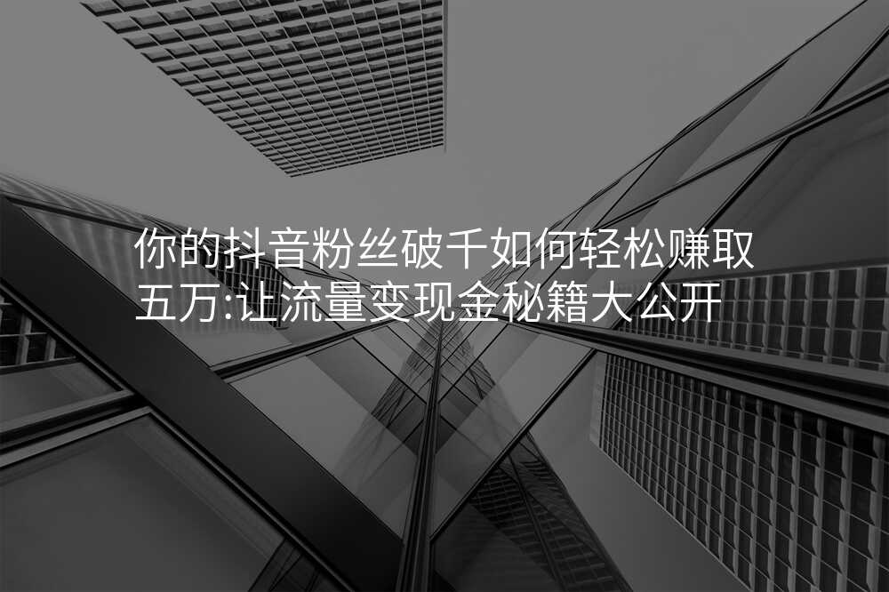 你的抖音粉丝破千如何轻松赚取五万:让流量变现金秘籍大公开