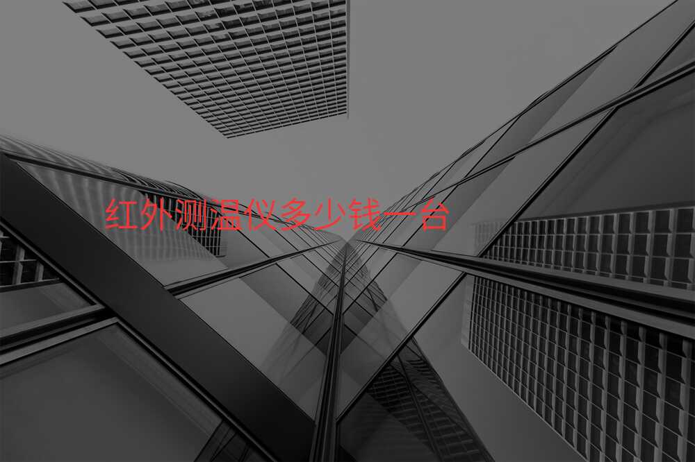 红外测温仪多少钱一台