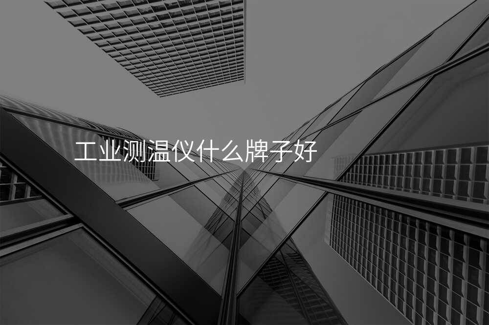 工业测温仪什么牌子好