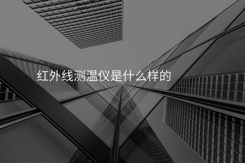 怎样选购适合的红外线测温仪?