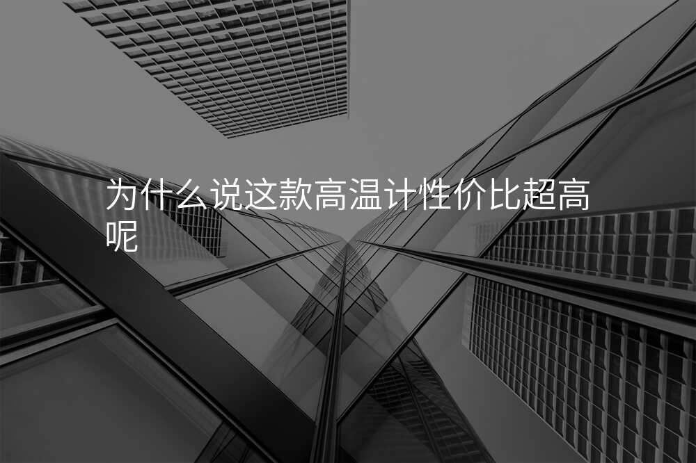 为什么说这款高温计性价比超高?