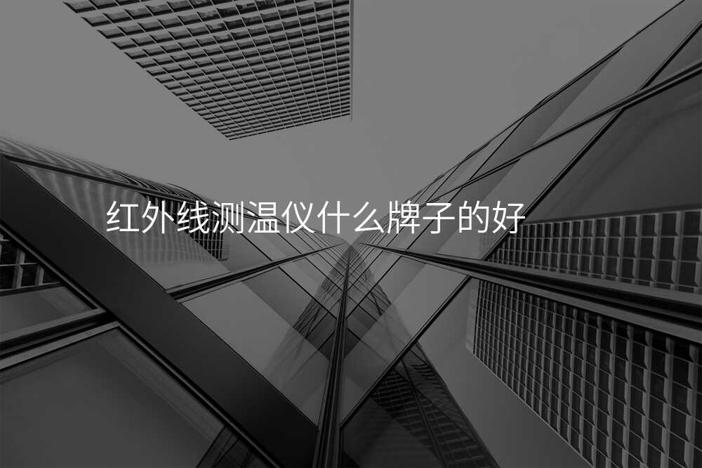红外线测温仪什么牌子的好