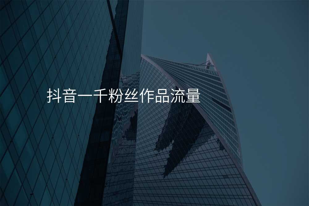 抖音一千粉丝作品流量