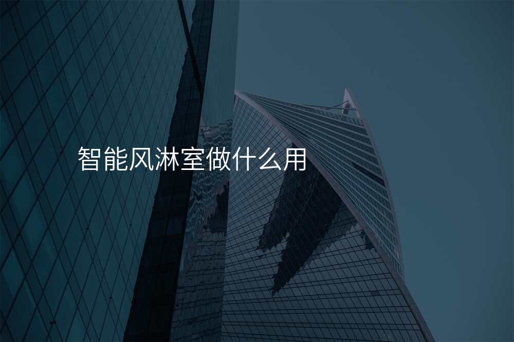 智能风淋室做什么用