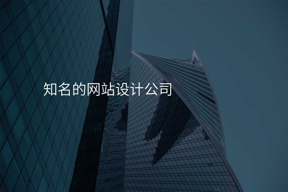 知名的网站设计公司